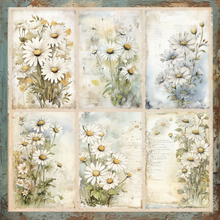 Charger l'image dans la galerie, Bloc "Sassenach" de Bella Luna Craft (BLC-0043/R)