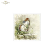 Charger l'image dans la galerie, Mini papier de riz papillon RSM223