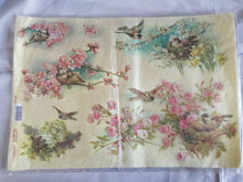 Charger l'image dans la galerie, Papier de Riz "Nids" 33x48 cm - Stamperia (DFS145)