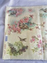 Charger l'image dans la galerie, Papier de Riz "Nids" 33x48 cm - Stamperia (DFS145)