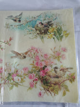 Charger l'image dans la galerie, Papier de Riz "Nids" 33x48 cm - Stamperia (DFS145)