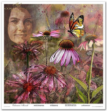 Charger l'image dans la galerie, Bloc Papier 30x30 "Herboriste" - ITD Collection (SLS-050)
