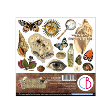Charger l&#39;image dans la galerie, Fussy Cut Pad 15x15 cm &quot;Cabinet of curiosities&quot; de Ciao Bella ( CBQE085)
