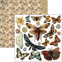 Charger l&#39;image dans la galerie, Fussy Cut Pad 15x15 cm &quot;Cabinet of curiosities&quot; de Ciao Bella ( CBQE085)
