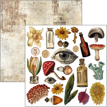 Charger l&#39;image dans la galerie, Fussy Cut Pad 15x15 cm &quot;Cabinet of curiosities&quot; de Ciao Bella ( CBQE085)
