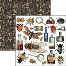 Charger l&#39;image dans la galerie, Fussy Cut Pad 15x15 cm &quot;Cabinet of curiosities&quot; de Ciao Bella ( CBQE085)
