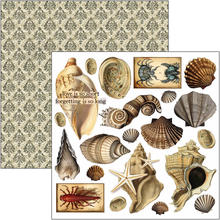 Charger l&#39;image dans la galerie, Fussy Cut Pad 15x15 cm &quot;Cabinet of curiosities&quot; de Ciao Bella ( CBQE085)
