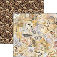 Charger l&#39;image dans la galerie, Patterns Pad &quot;Cabinet de curiosités&quot; 12&quot;x12&quot; (CBT085)
