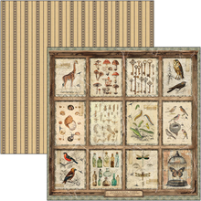 Charger l&#39;image dans la galerie, Patterns Pad &quot;Cabinet de curiosités&quot; 12&quot;x12&quot; (CBT085)
