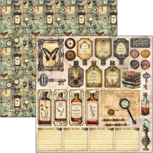 Charger l&#39;image dans la galerie, Patterns Pad &quot;Cabinet de curiosités&quot; 12&quot;x12&quot; (CBT085)
