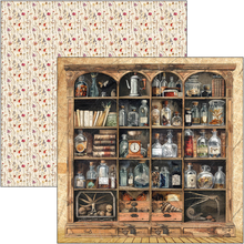 Charger l&#39;image dans la galerie, Patterns Pad &quot;Cabinet de curiosités&quot; 12&quot;x12&quot; (CBT085)
