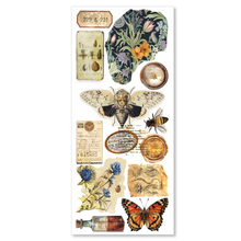 Charger l&#39;image dans la galerie, Art Stickers &quot;Cabinet of curiosities&quot; (CBI001)
