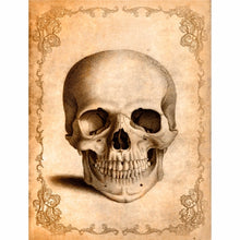 Charger l'image dans la galerie, Papier de riz A4 "Skull Theme" 6 pièces - Craft Kreatively (CK-RP9044)
