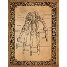 Charger l'image dans la galerie, Papier de riz A4 "Skull Theme" 6 pièces - Craft Kreatively (CK-RP9044)
