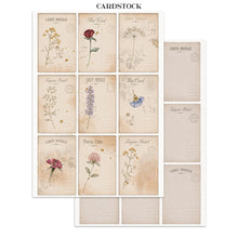Charger l'image dans la galerie, Page cardstock Flowers and Poems : écritures manuscrites et rose aquarellée
