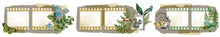 Charger l&#39;image dans la galerie, Ruban adhésif PET Hidden Creek Filmstrip à découpe par effleurement (5 cm x 5 m) (ACSCT0001)
