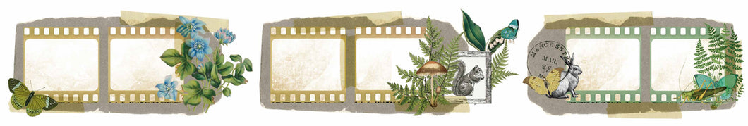 Ruban adhésif PET Hidden Creek Filmstrip à découpe par effleurement (5 cm x 5 m) (ACSCT0001)