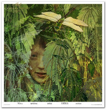 Charger l'image dans la galerie, Bloc Papier 30x30 "Herboriste" - ITD Collection (SLS-050)
