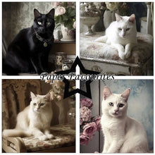 Charger l&#39;image dans la galerie, &quot;Shabby Cats&quot; Paper Pack de Paper Favorites (PF481)
