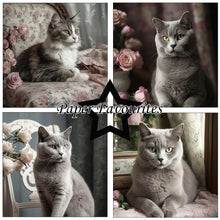 Charger l&#39;image dans la galerie, &quot;Shabby Cats&quot; Paper Pack de Paper Favorites (PF481)
