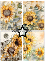 Charger l'image dans la galerie, Bloc Papier A6 "Vintage Sunflower" - Paper Favourites (PFA576)
