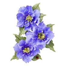 Charger l'image dans la galerie, Matrice Clematis Poet - The Poet's Garden - Spellbinders - DESTOCKAGE
