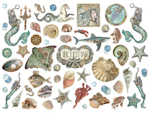 Charger l'image dans la galerie, Die Cuts Assortis "Song of the Sea" - Stamperia (DFLDC84)
